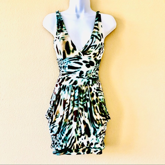 BLOCKOUT⚡️Animal Prints V-Cut Neck Mini Dress_M - Picture 1 of 8